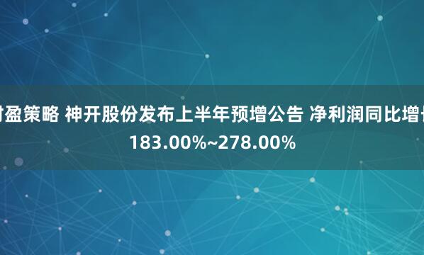 财盈策略 神开股份发布上半年预增公告 净利润同比增长183.00%~278.00%